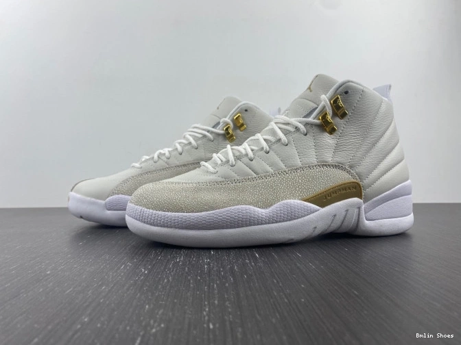 12 White Jordan Retro OVO 873864-102 0818